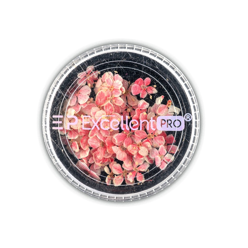 Excellent PRO Deco Dry Flowers 50pcs 001 - 1