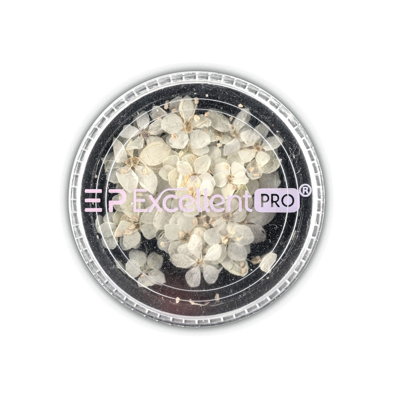 Excellent PRO Deco Dry Flowers 50pcs 004 - 1