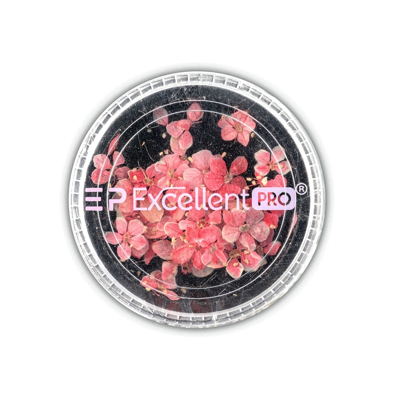 Excellent PRO Deco Dry Flowers 50pcs 008 - 1