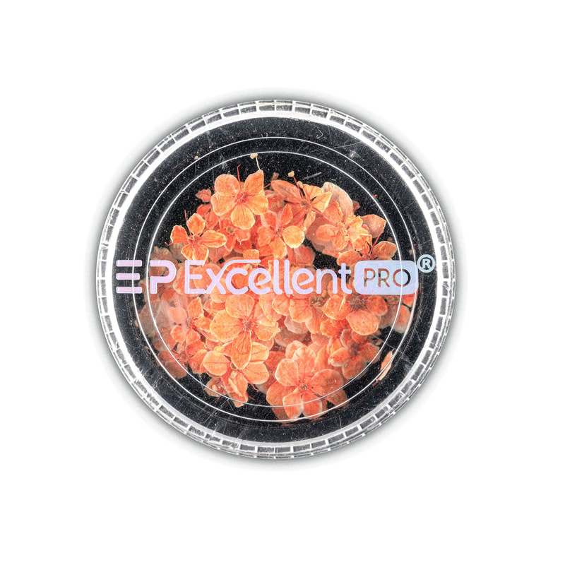 Excellent PRO Deco Dry Flowers 50pcs 010 - 1