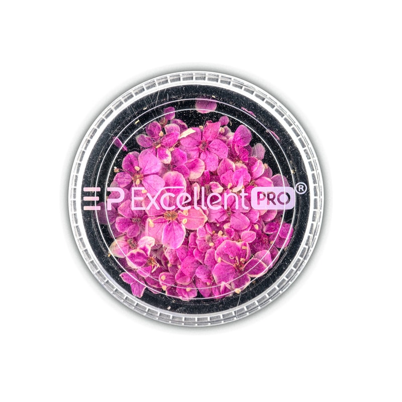 Excellent PRO Deco Dry Flowers 50pcs 012 - 1