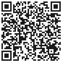 Kod QR - Excellent PRO Pędzelek 2in1 z cyrk. Long Oval #4 Deco #9